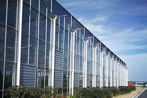 溫室大棚鋼結構工程